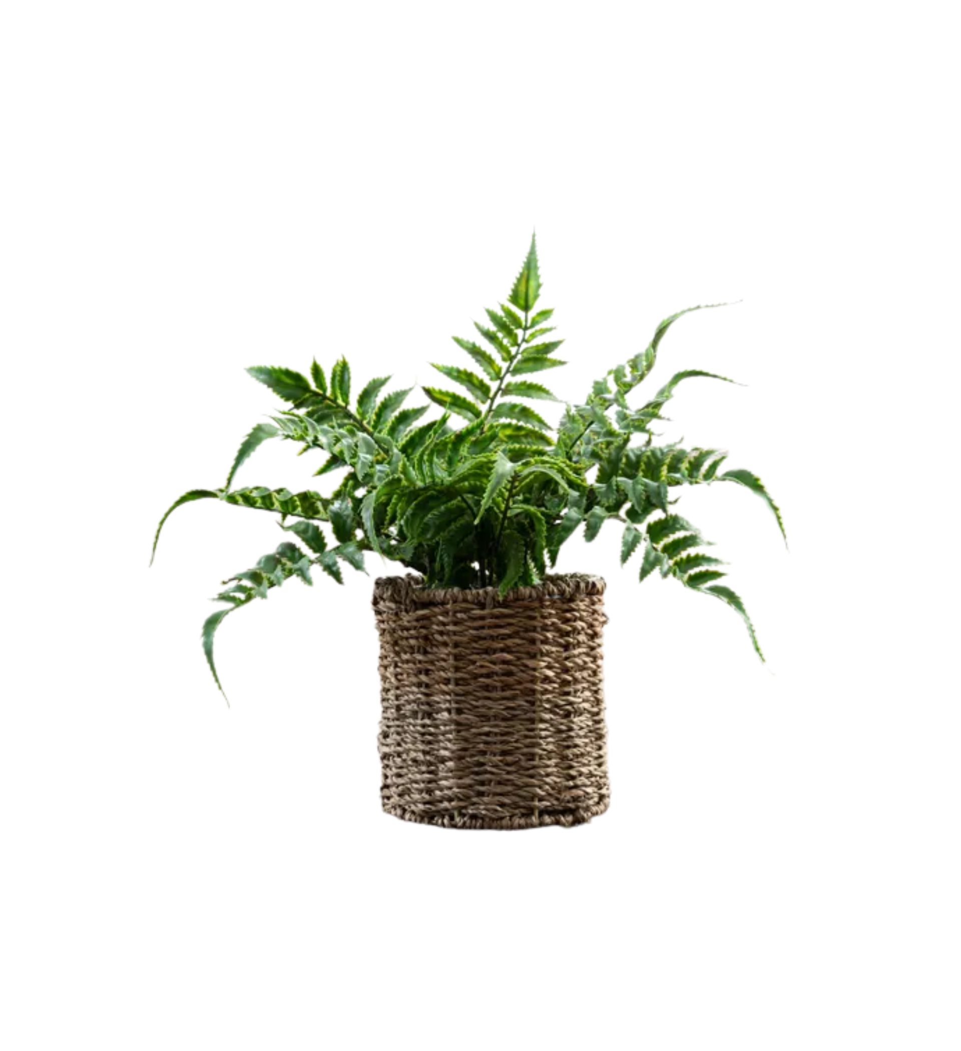 Artificial Fern in Rattan Plant Pot